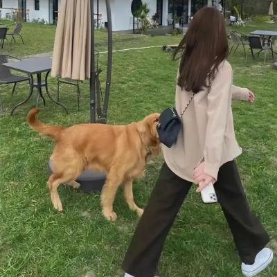 顶级生活 第二季